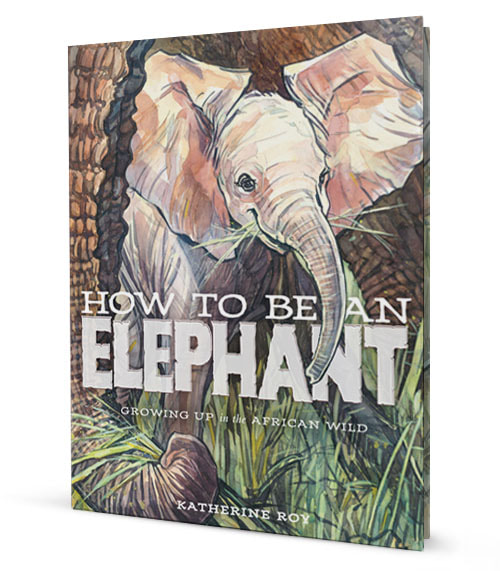 How to Be an Elephant cover