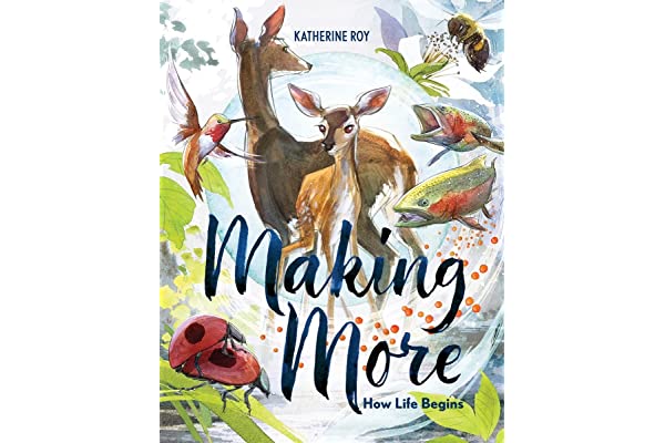 Making More: How Life Begins cover