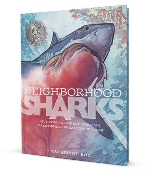Neighborhood Sharks cover